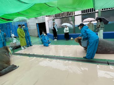 ゼロ距離水族館 伊勢シーパラダイスに投稿された画像（2022/5/13）