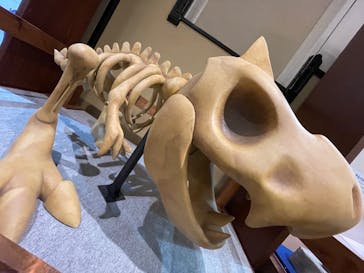 国立科学博物館　特別企画展「ポケモン化石博物館」に投稿された画像（2022/5/13）