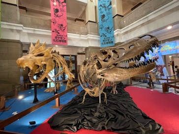 国立科学博物館　特別企画展「ポケモン化石博物館」に投稿された画像（2022/5/13）