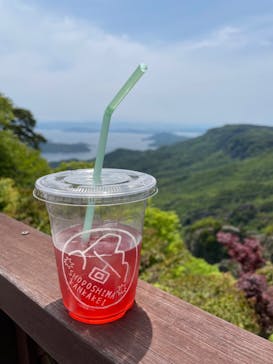 寒霞渓ロープウェイに投稿された画像（2022/5/13）