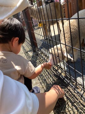 東武動物公園に投稿された画像（2022/5/13）