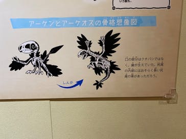 国立科学博物館　特別企画展「ポケモン化石博物館」に投稿された画像（2022/5/13）