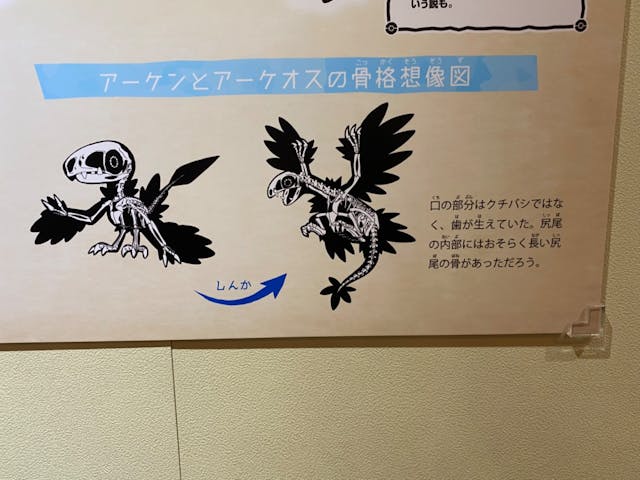 国立科学博物館 特別企画展「ポケモン化石博物館」の口コミ ｜かなり凝られていて面白かったで｜アソビュー！