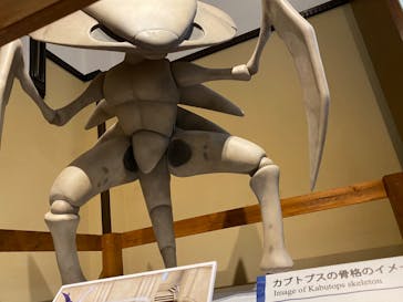 国立科学博物館　特別企画展「ポケモン化石博物館」に投稿された画像（2022/5/13）