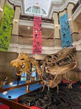 国立科学博物館　特別企画展「ポケモン化石博物館」に投稿された画像（2022/5/13）