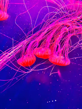 すみだ水族館に投稿された画像（2022/5/13）