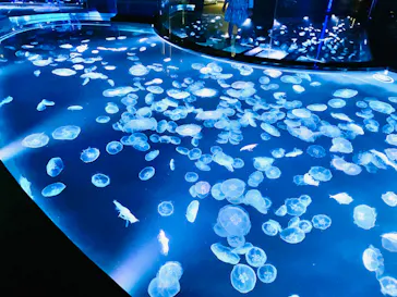 すみだ水族館に投稿された画像（2022/5/13）