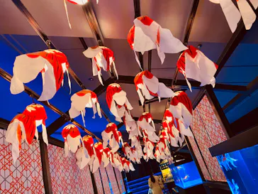 すみだ水族館に投稿された画像（2022/5/13）