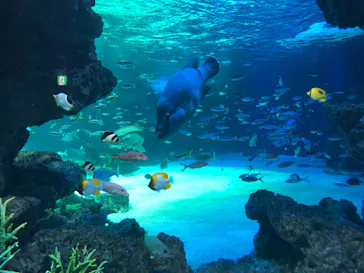 サンシャイン水族館に投稿された画像（2022/5/13）
