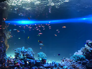 サンシャイン水族館に投稿された画像（2022/5/13）
