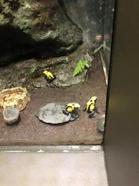 サンシャイン水族館に投稿された画像（2022/5/13）