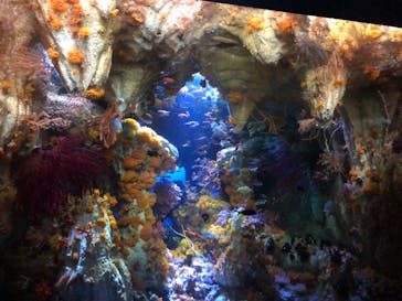 サンシャイン水族館に投稿された画像（2022/5/13）