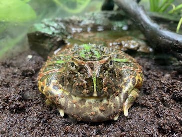 サンシャイン水族館に投稿された画像（2022/5/13）