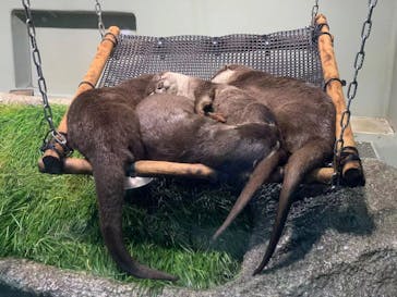 サンシャイン水族館に投稿された画像（2022/5/13）