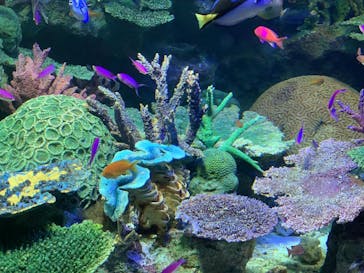 サンシャイン水族館に投稿された画像（2022/5/13）