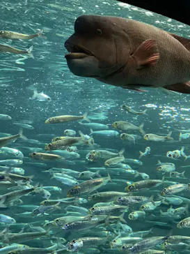 サンシャイン水族館に投稿された画像（2022/5/13）