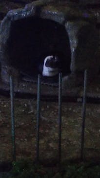 サンシャイン水族館に投稿された画像（2022/5/13）