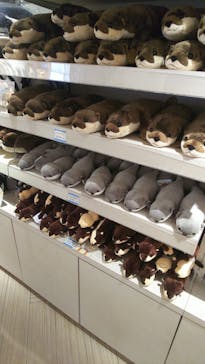 サンシャイン水族館に投稿された画像（2022/5/13）