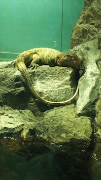 サンシャイン水族館に投稿された画像（2022/5/13）