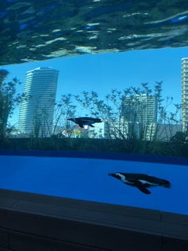 サンシャイン水族館に投稿された画像（2022/5/13）