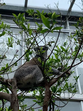 神戸どうぶつ王国に投稿された画像（2022/5/13）