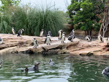 神戸どうぶつ王国に投稿された画像（2022/5/13）