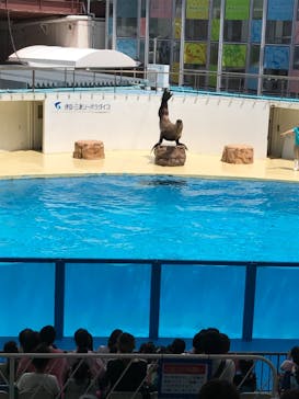 伊豆・三津シーパラダイスに投稿された画像（2022/5/14）