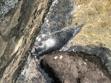 伊豆・三津シーパラダイスに投稿された画像（2022/5/14）