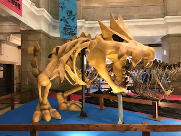 国立科学博物館　特別企画展「ポケモン化石博物館」に投稿された画像（2022/5/14）