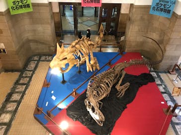 国立科学博物館　特別企画展「ポケモン化石博物館」に投稿された画像（2022/5/14）