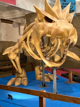 国立科学博物館　特別企画展「ポケモン化石博物館」に投稿された画像（2022/5/14）