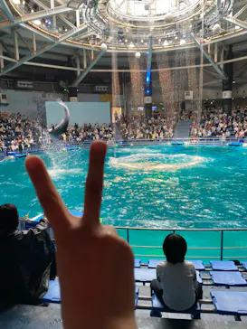 マクセル アクアパーク品川に投稿された画像（2022/5/14）
