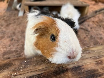 長崎バイオパークに投稿された画像（2022/5/14）