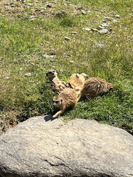 長崎バイオパークに投稿された画像（2022/5/14）