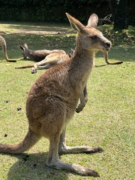 長崎バイオパークに投稿された画像（2022/5/14）