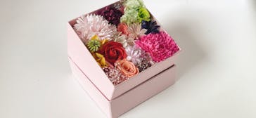 ずこうしつ〜sugamo〜に投稿された画像（2022/5/14）