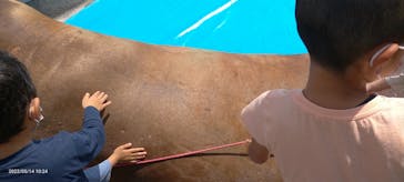 大分マリーンパレス水族館 「うみたまご」に投稿された画像（2022/5/14）