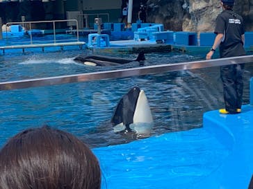 名古屋港水族館に投稿された画像（2022/5/14）