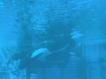 名古屋港水族館に投稿された画像（2022/5/14）