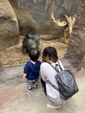 天王寺動物園に投稿された画像（2022/5/14）