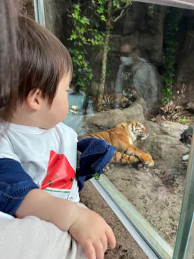 天王寺動物園に投稿された画像（2022/5/14）