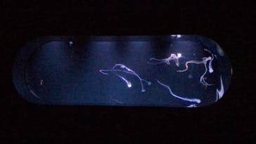 サンシャイン水族館に投稿された画像（2022/5/14）