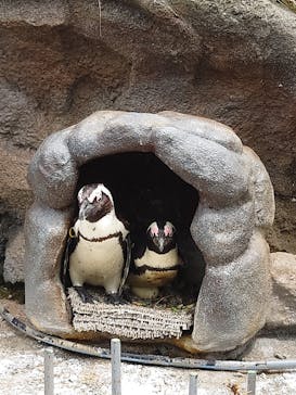 サンシャイン水族館に投稿された画像（2022/5/14）