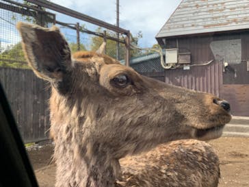 那須サファリパークに投稿された画像（2022/5/14）