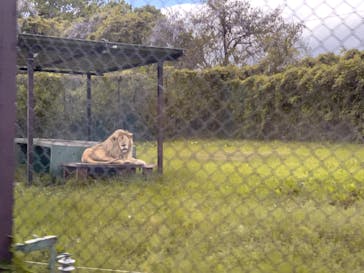 那須サファリパークに投稿された画像（2022/5/14）