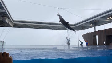 上越市立水族博物館 うみがたりに投稿された画像（2022/5/14）