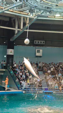 マクセル アクアパーク品川に投稿された画像（2022/5/14）