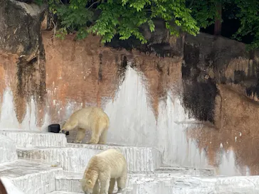 天王寺動物園に投稿された画像（2022/5/14）