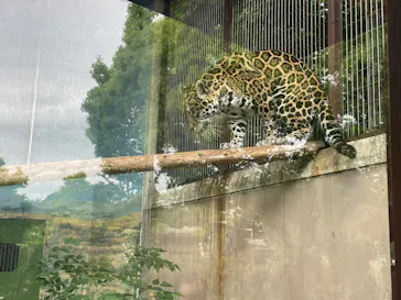 天王寺動物園に投稿された画像（2022/5/14）