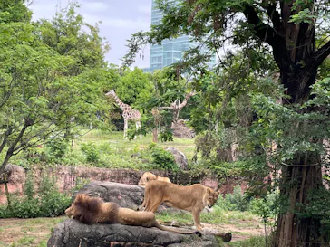 天王寺動物園に投稿された画像（2022/5/14）